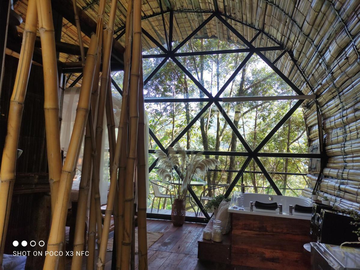 Glamping San Luis Nativa San Luis (Antioquia) Exterior photo
