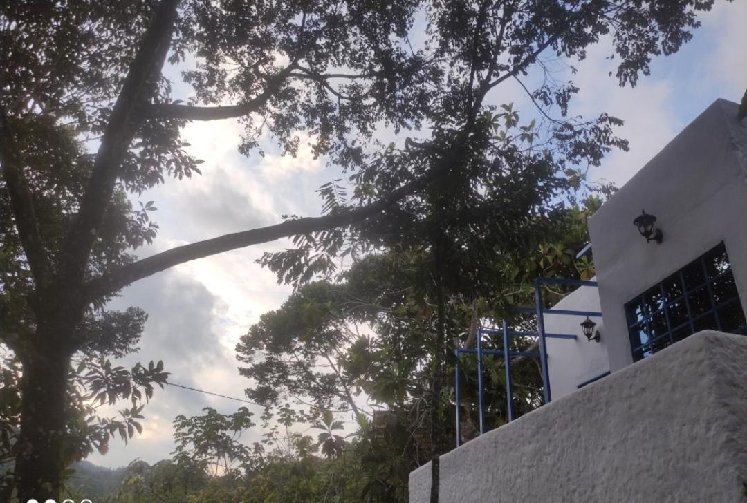 Glamping San Luis Nativa San Luis (Antioquia) Exterior photo